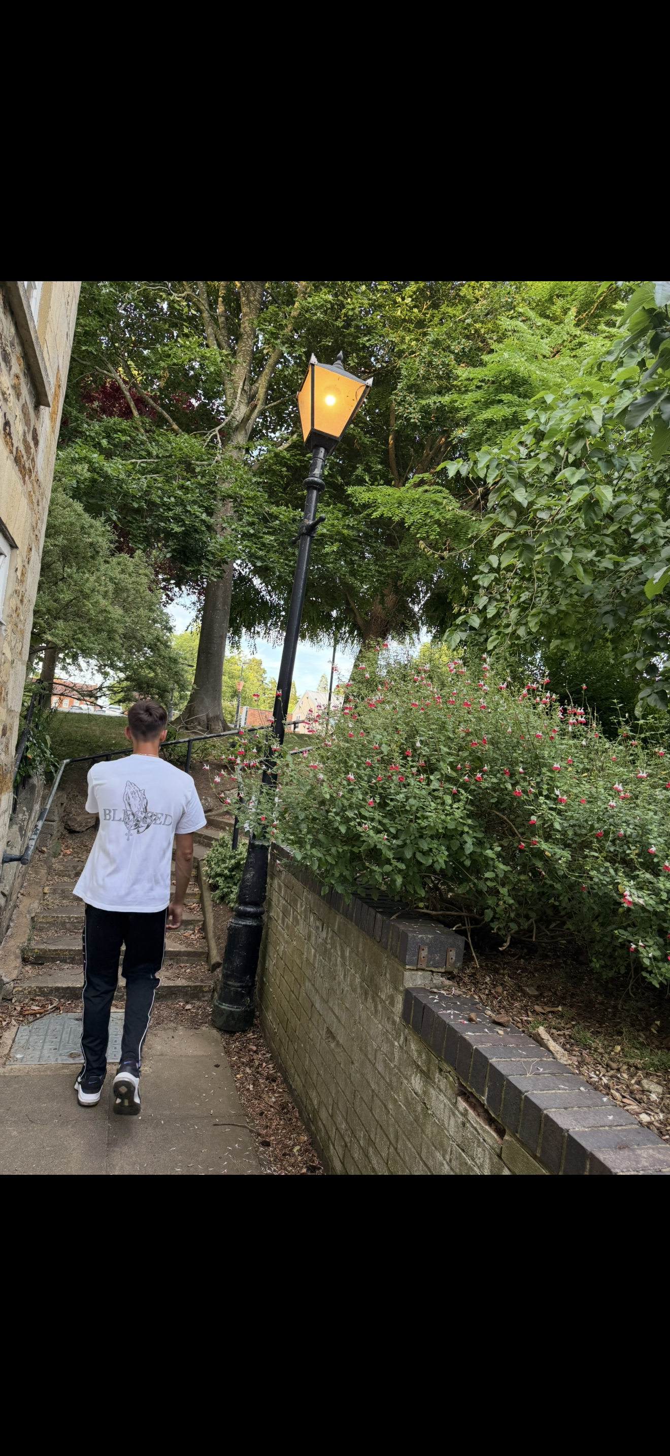 Person walking down a path with greenery and a streetlight img